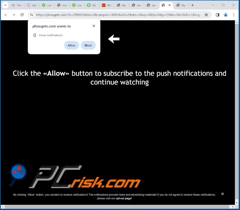 phougets[.]com website appearance (GIF)