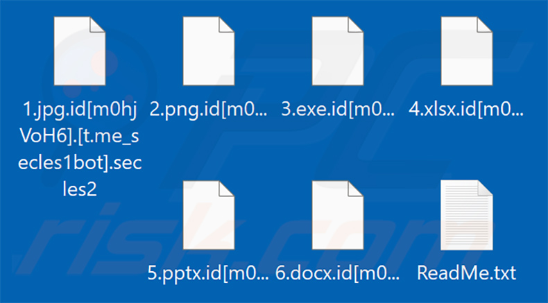 Files encrypted by Secles2 ransomware (.secles2 extension)