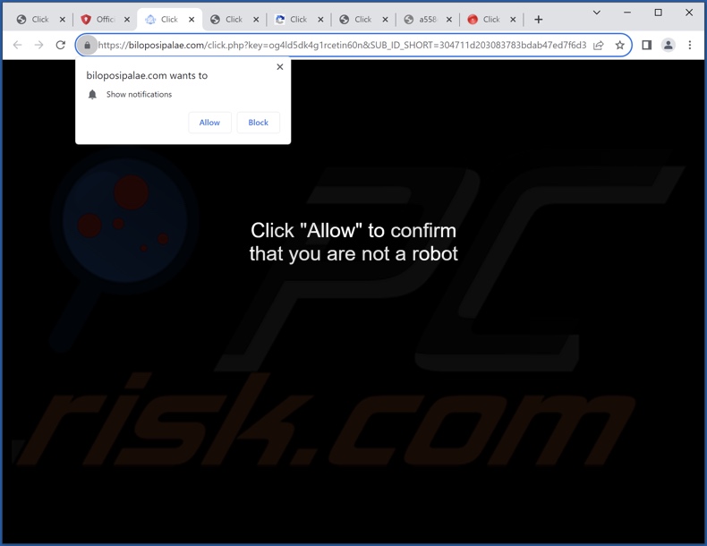 biloposipalae[.]com pop-up redirects