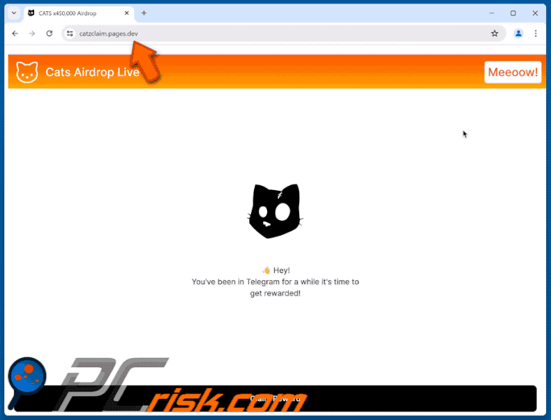 Appearance of $CATS Airdrop Live scam