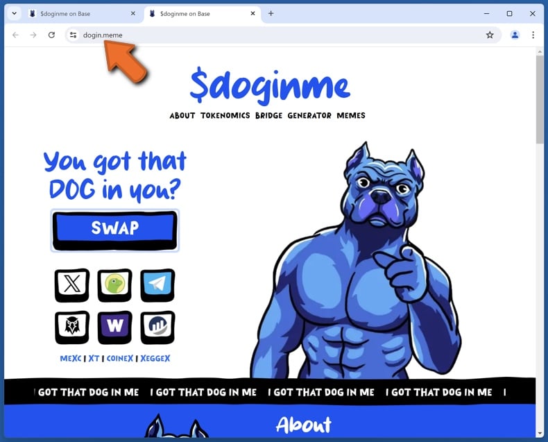 Appearance of the real doginme website (dogin.meme)