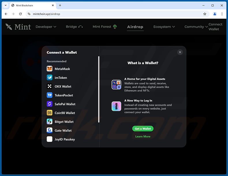 Mint Blockchain Wallet Connect drainer website - mintchoin[.]xyz