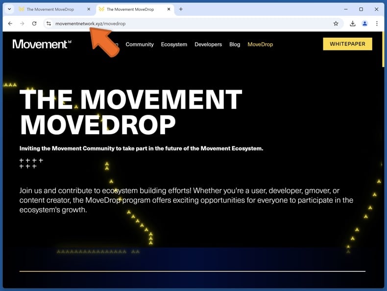 Appearance of the real Movement Network website (movementnetwork.xyz)