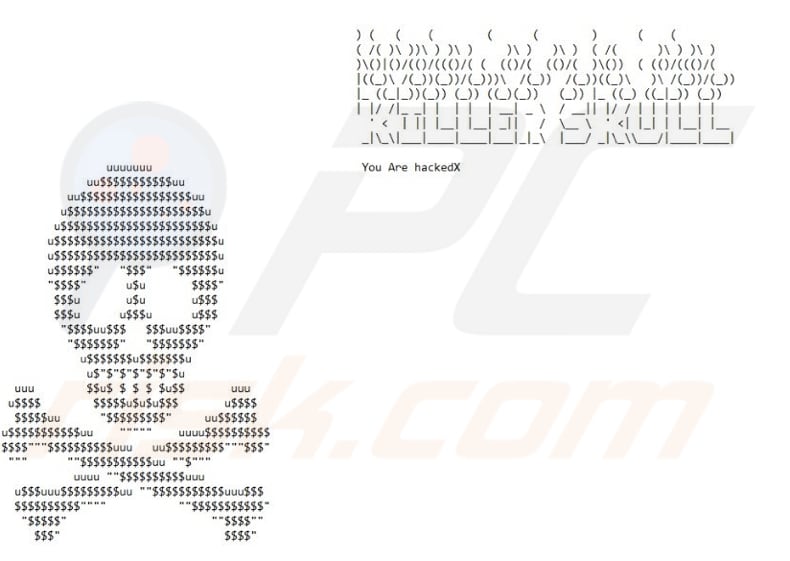 Killer Skull ransomware wallpaper