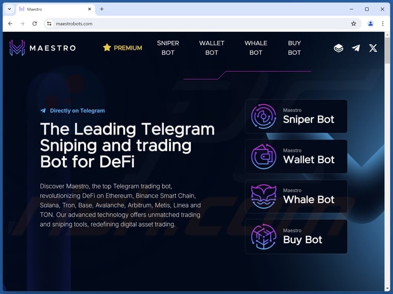 Maestro scam real website (maestrobots.com)