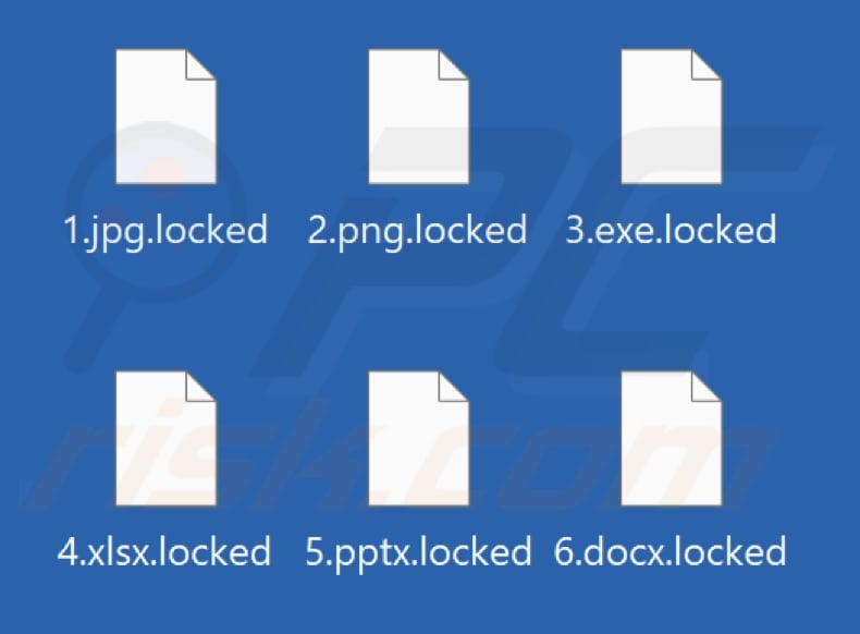 Files encrypted by MZLFF ransomware (.locked extension)