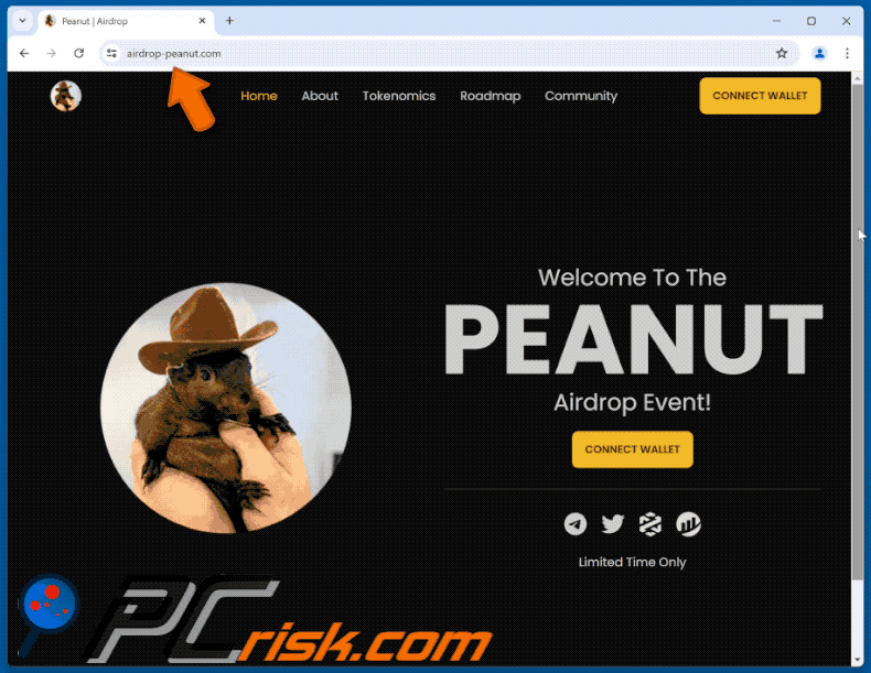 Appearance of PEANUT Airdrop scam