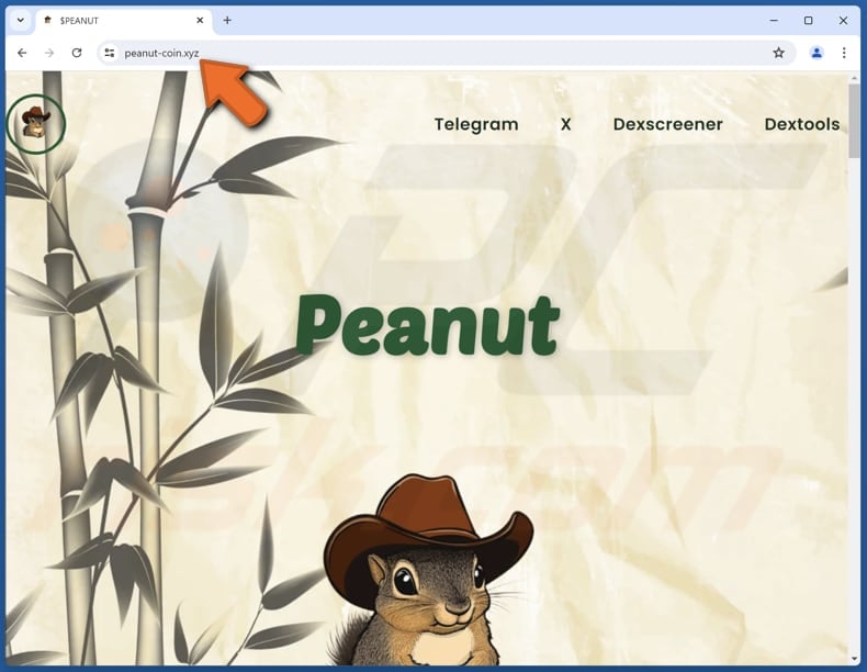 Peanut airdrop scam real website (peanut-coin.xyz)