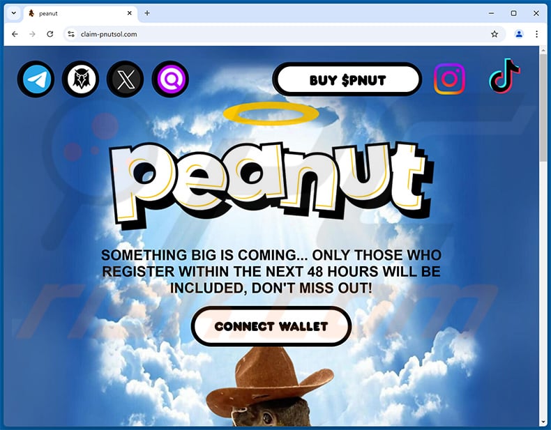 Peanut airdrop scam website (claim-pnutsol[.]com)