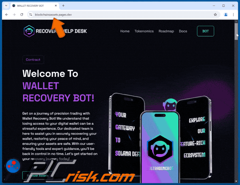 Appearance of Wallet Recovery Bot scam