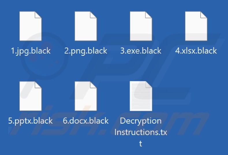 Files encrypted by Black (Prince) ransomware (.black extension)