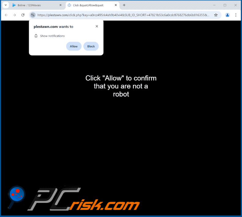 plestawn[.]com website appearance (GIF)