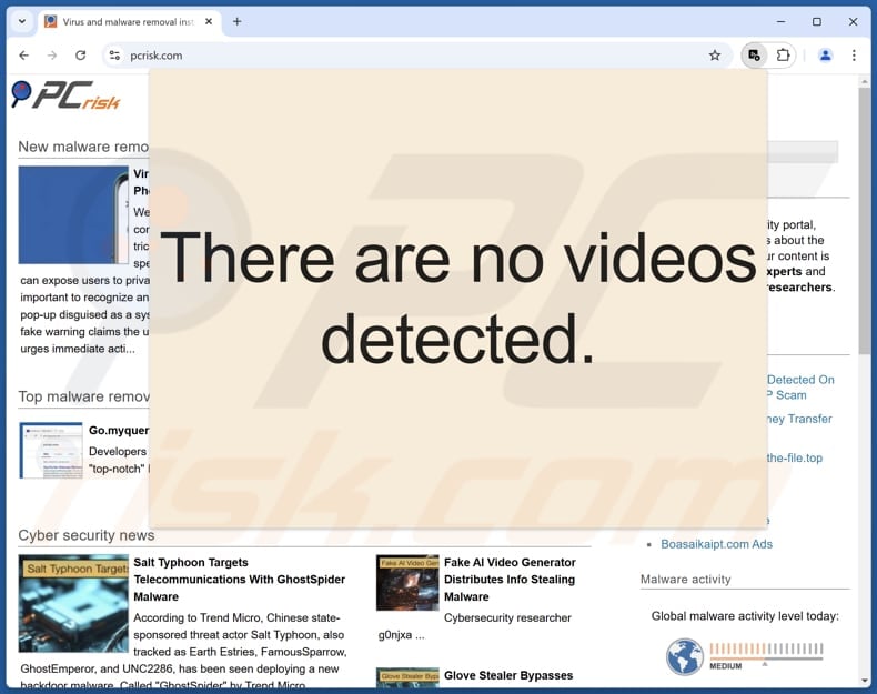 Pro Video Downloader adware appearance