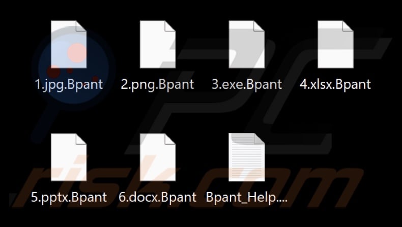Files encrypted by BlackPanther ransomware (.Bpant extension)