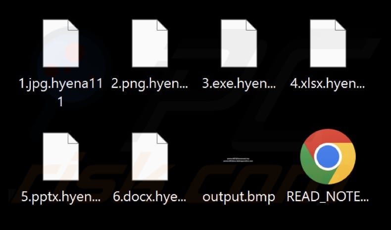 Files encrypted by Hyena ransomware (.hyena111 extension)