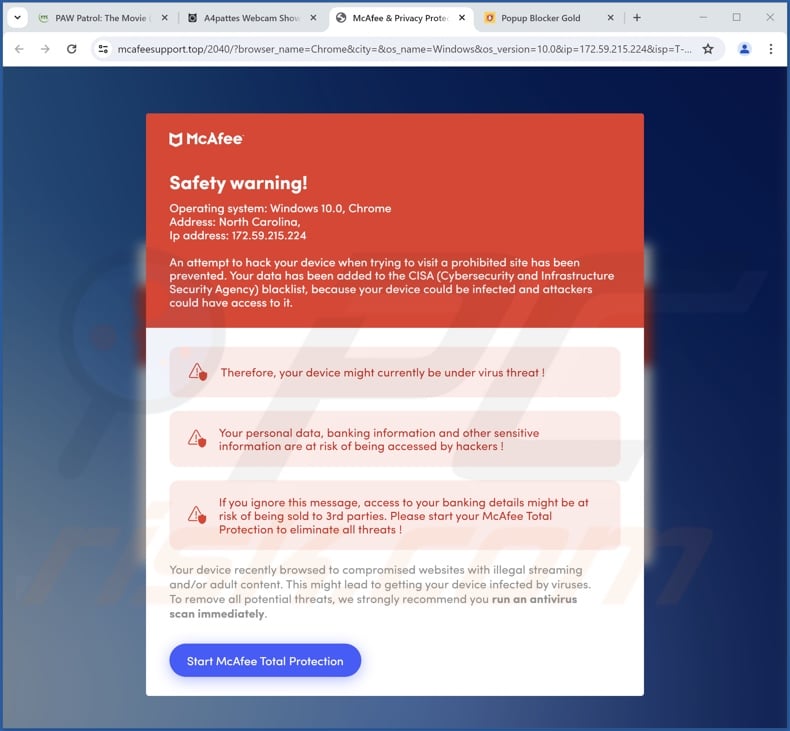 Safety Warning scam (McAfee variant 2)