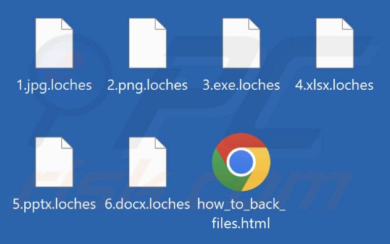 Files encrypted by Loches ransomware (.loches extension)