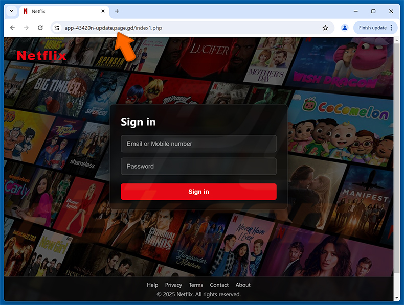 Fake Netflix website used for phishing