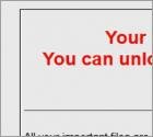 UNLOCK_FILES_INSTRUCTIONS Ransomware
