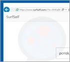 Surfself.com Redirect