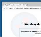 Turkish Ransomware