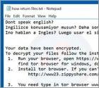 N1n1n1 Ransomware