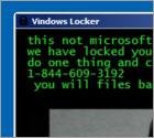 Vindows Ransomware