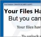 Free-Freedom Ransomware