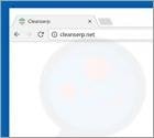 Cleanserp.net Redirect