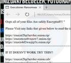 Executioner (Cellat) Ransomware