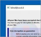 Blind Ransomware