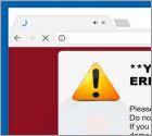 Your Connection To This Site Is Not Private POP-UP Scam