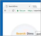 Searchdims.network Redirect
