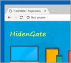HidenGate Adware