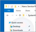 SystemNanoPacks Adware