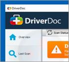 DriverDoc Unwanted Application