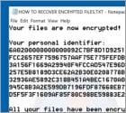 F1220@tuta.io Ransomware