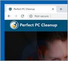 Perfect PC Cleanup Unwanted Application