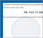 Supportfiless24 Ransomware