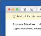 American Express Email Virus