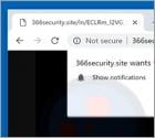 366security.site POP-UP Redirect