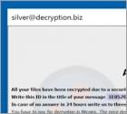 Bizer Ransomware