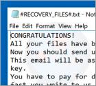 Nostro Ransomware