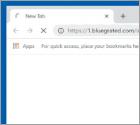 Bluegrated.com POP-UP Redirect