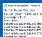 Jundmd@cock.li Ransomware