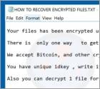 GEFEST 3.0 Ransomware