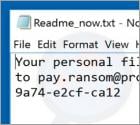 CryCipher Ransomware