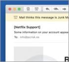 Netflix Email Scam