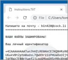 Bin Ransomware