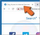 Easy Access to Internet Services Browser Hijacker